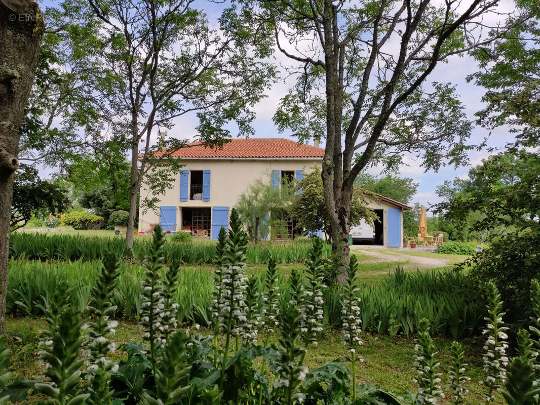 Maison à LAUZERTE