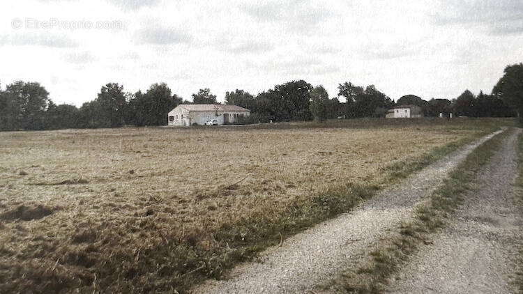 Terrain à CAMBOUNET-SUR-LE-SOR