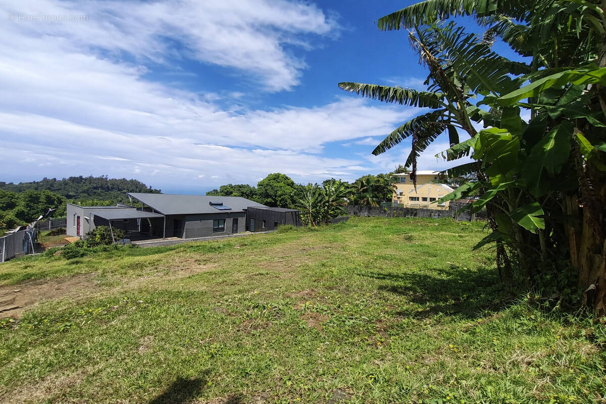 Terrain à PETITE-ILE
