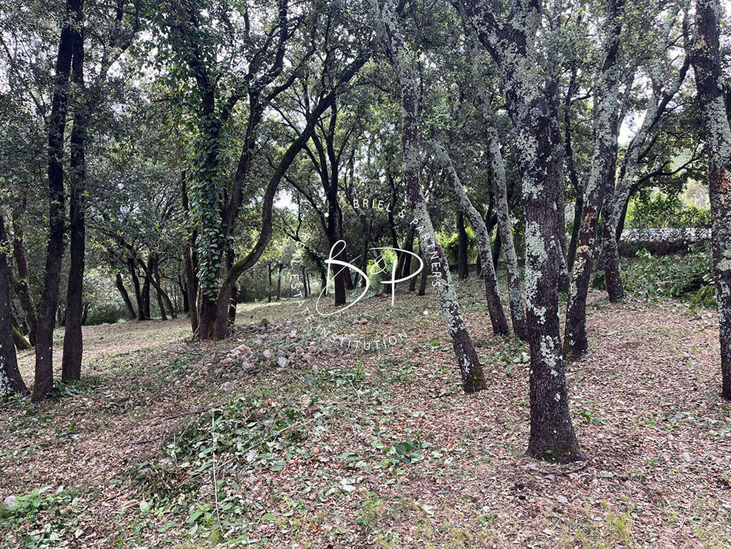 Terrain à LE THORONET