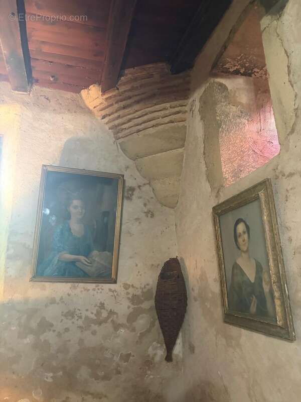 MARCIAC(32): ancienne SEIGNEURIE avec BEAU CHATEAU XIV sur 3,5ha, cachée, au bout du chemin, sans voisin, en campagne, 500m2 hab - photo 44