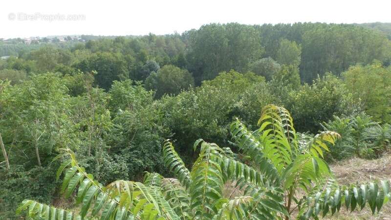 Maison à AVAILLES-THOUARSAIS