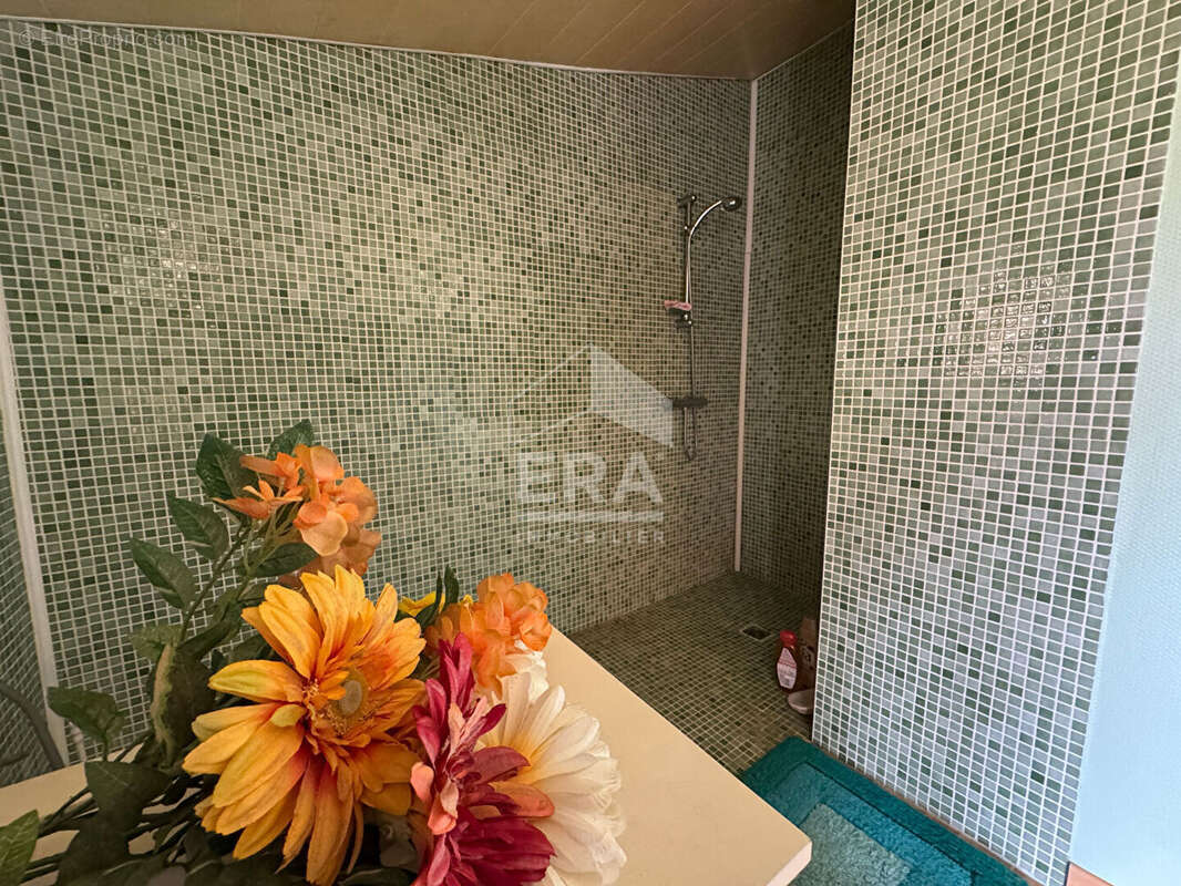 Maison 178m² à saint-pierre-la-noue - photo 10