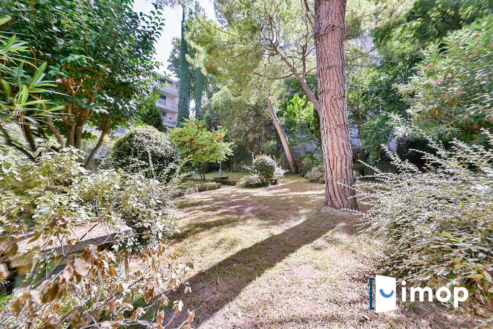 Appartement à AVIGNON