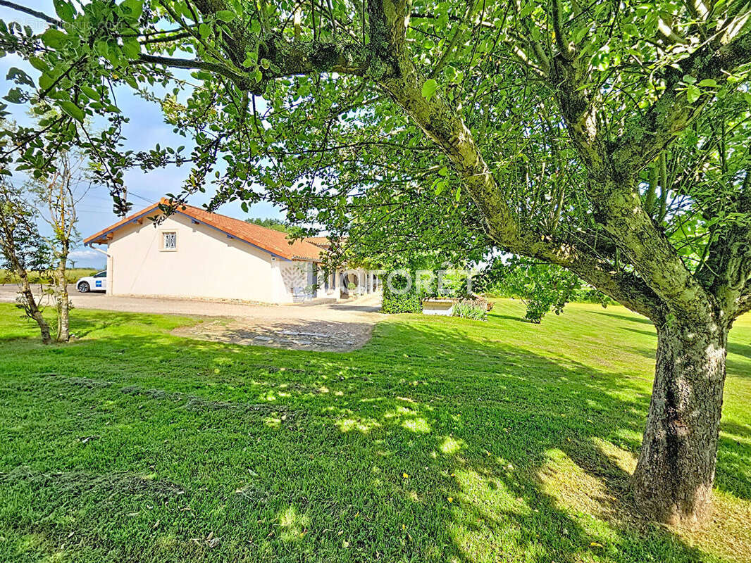 Maison à POLLIAT