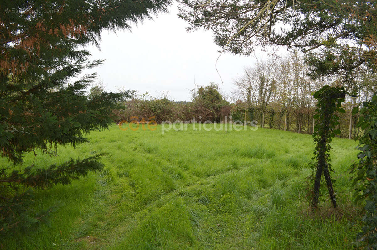 Maison à SAINT-VITTE
