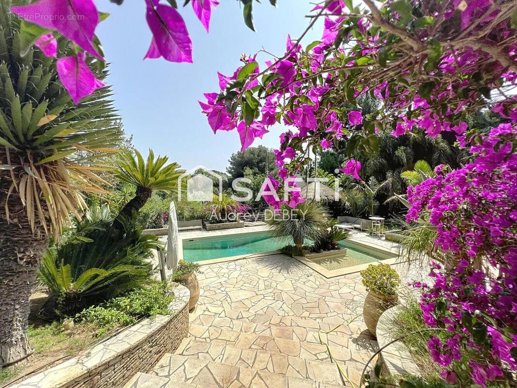 Photo 1 - Maison à SANARY-SUR-MER