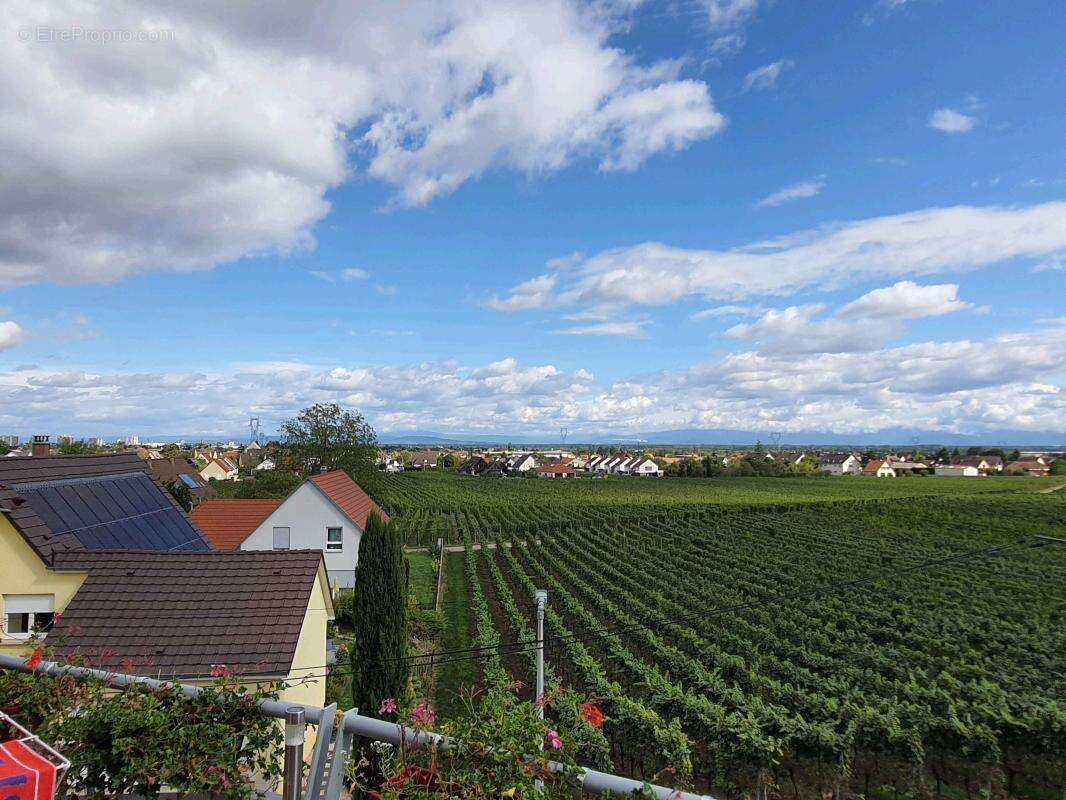 Appartement à WINTZENHEIM