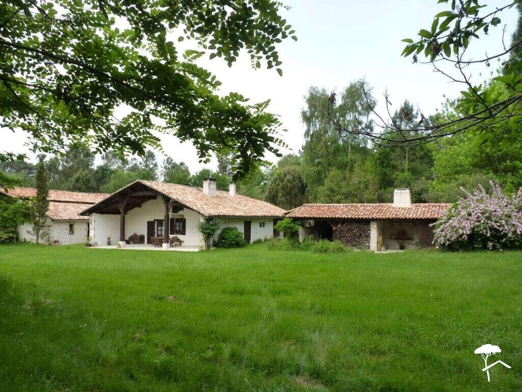 Maison à BAZAS