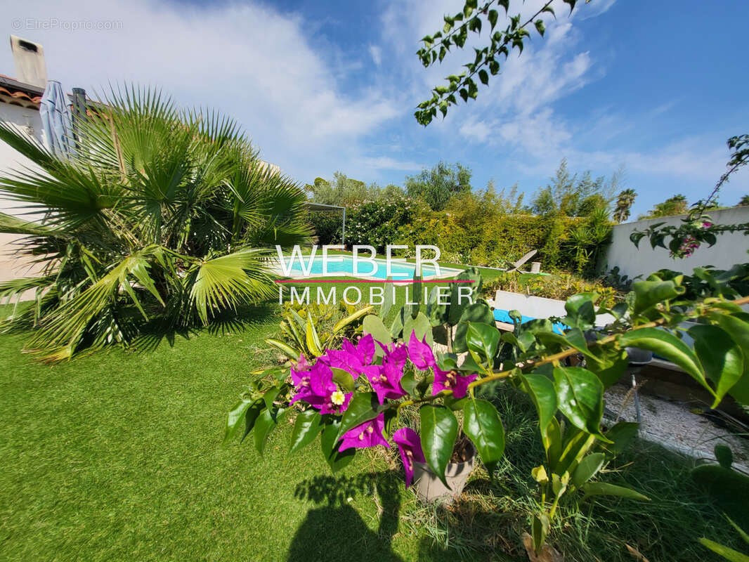 OLLIOULES - Plain pied 4 ch - Piscine - 675 m2 - photo 4