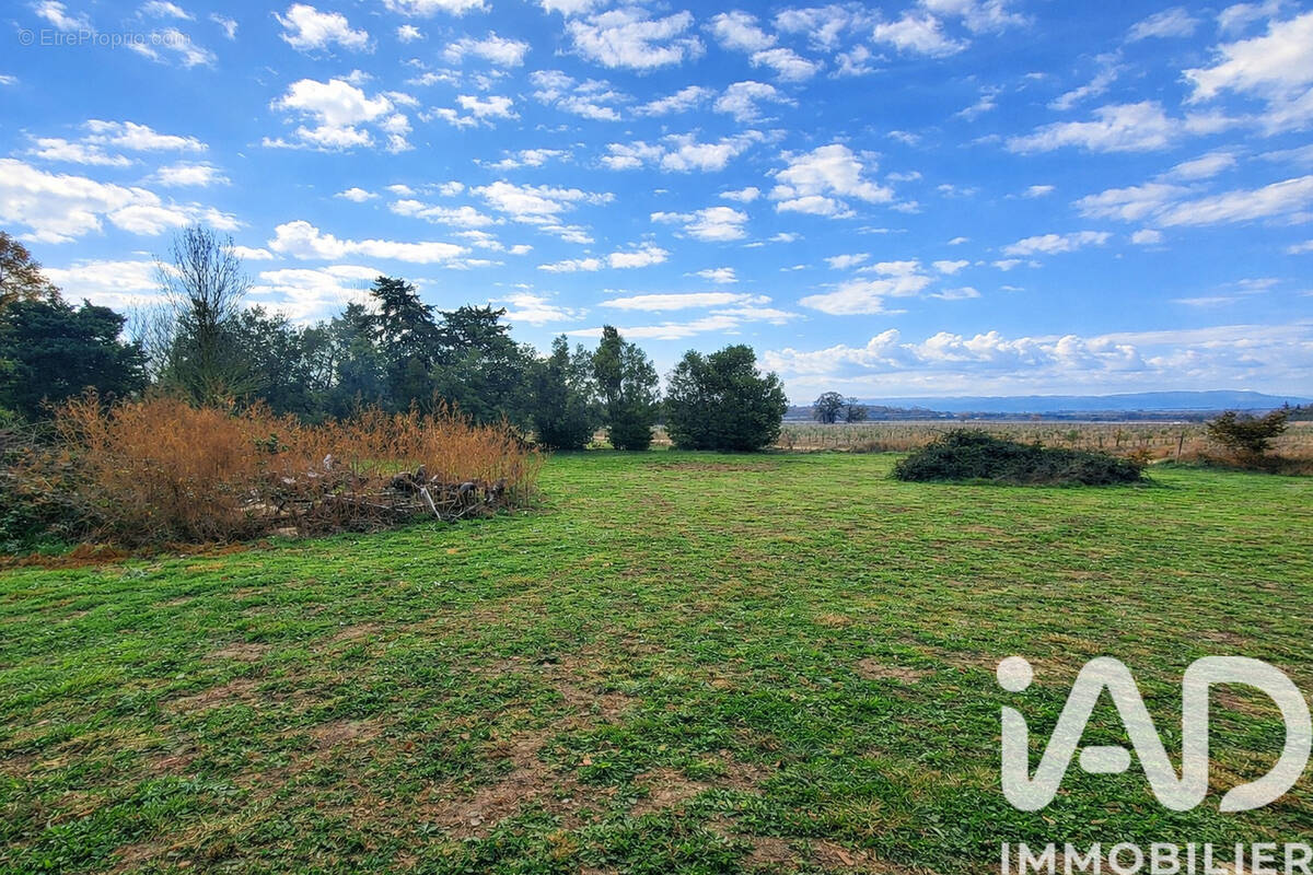 Photo 1 - Terrain à MONTESCOT