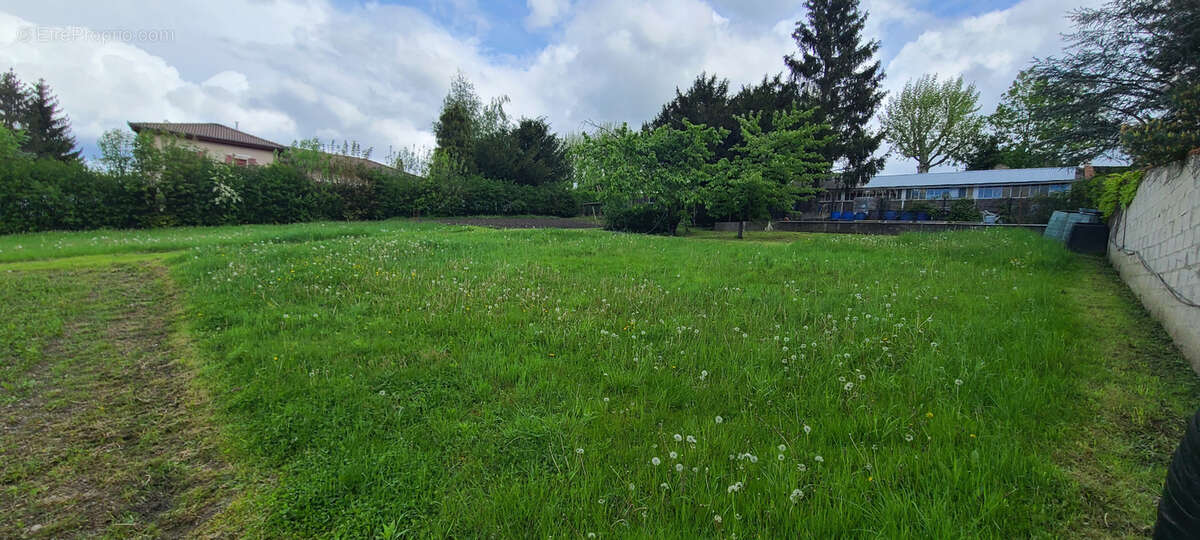 Terrain à LE CHAMBON-FEUGEROLLES