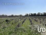 Photo 1 - Terrain à CODOLET