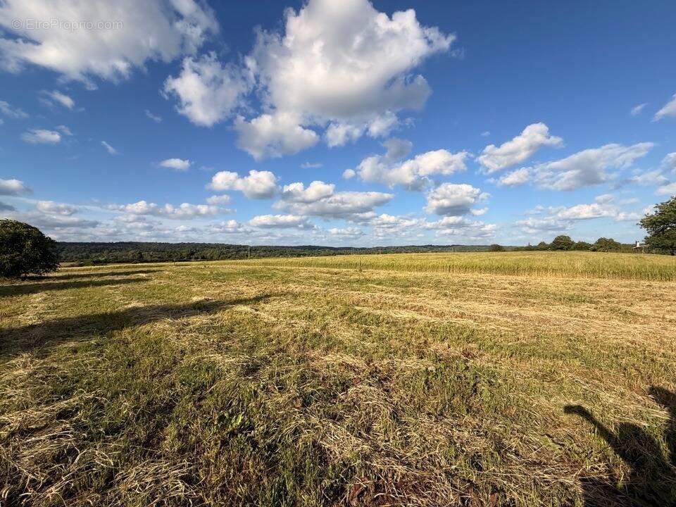 Terrain à SAINT-GERMAIN-ET-MONS