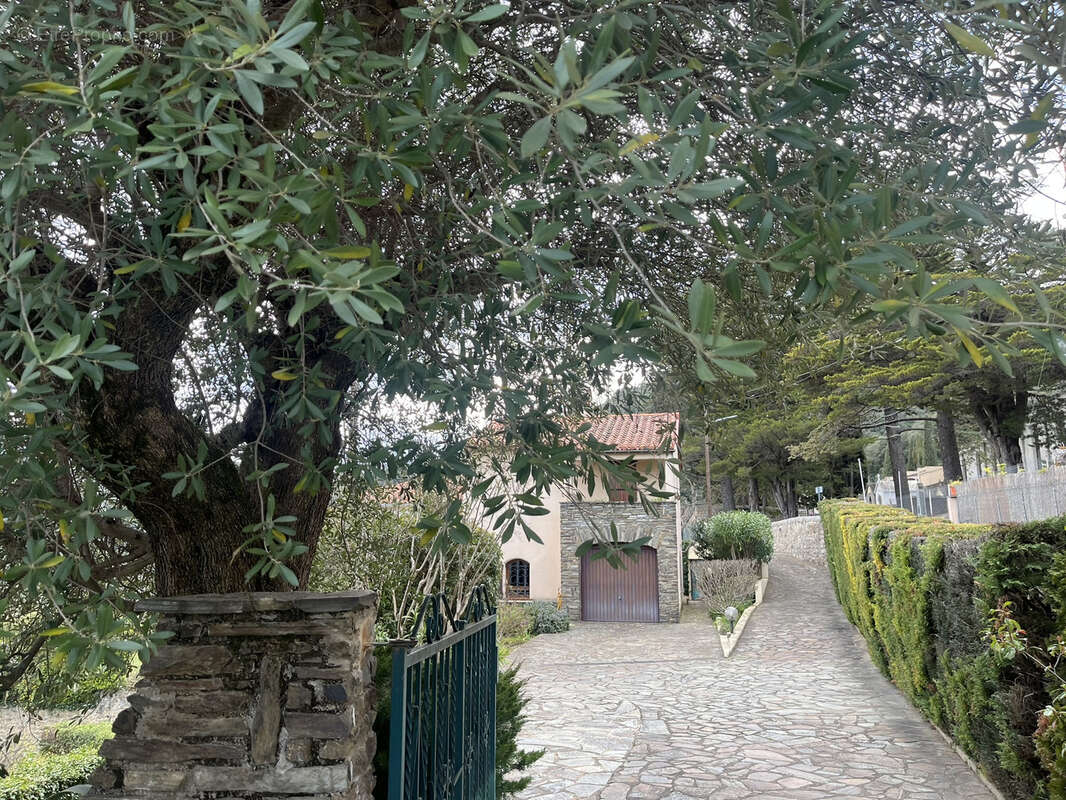 Villa d'architecte sur beau terrain 4 faces - photo 3
