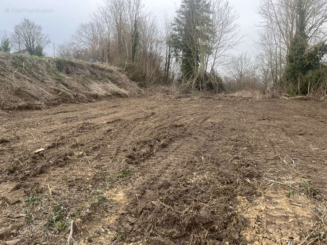 Terrain à HANGEST-SUR-SOMME