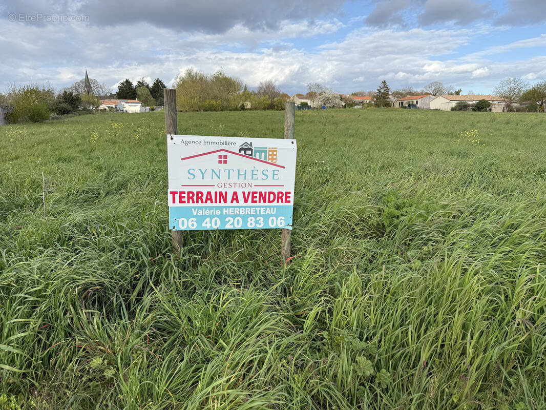 Terrain à LE GUE-DE-VELLUIRE
