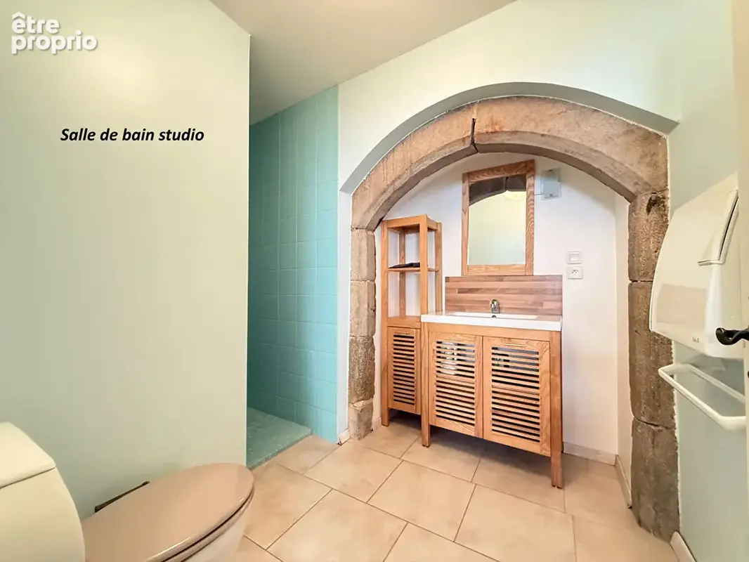 IMMEUBLE DE RAPPORT / CONLIEGE - 7 pièces - 2 logements - 196.56 m² - photo 8