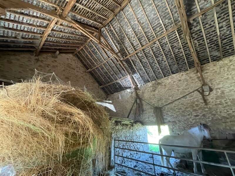 Maison à SAINTE-FEYRE