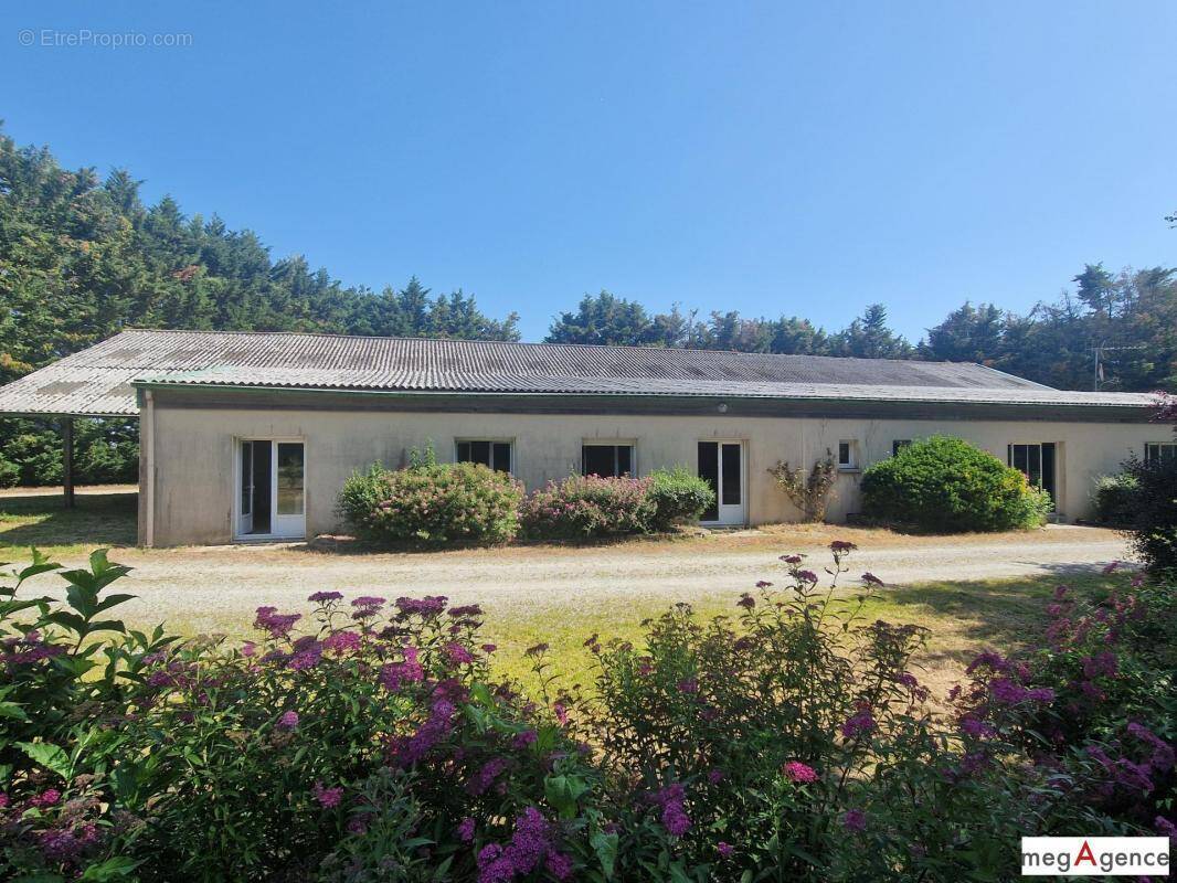 Maison à NOZAY