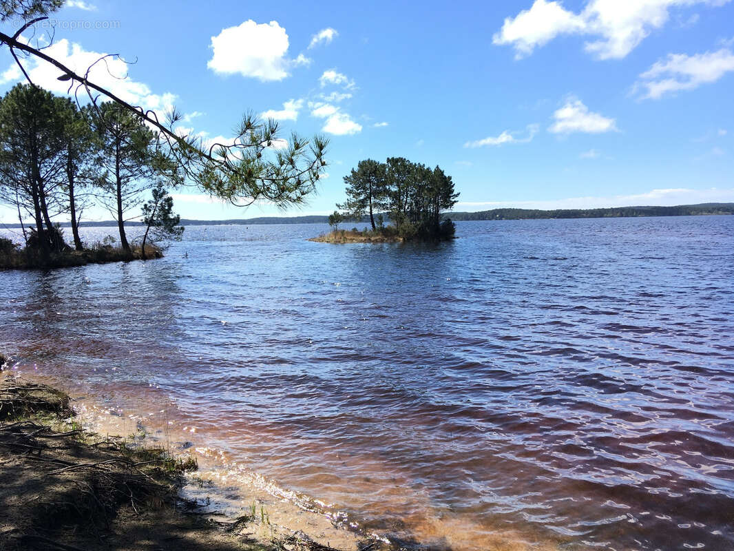 Maison à LEGE-CAP-FERRET