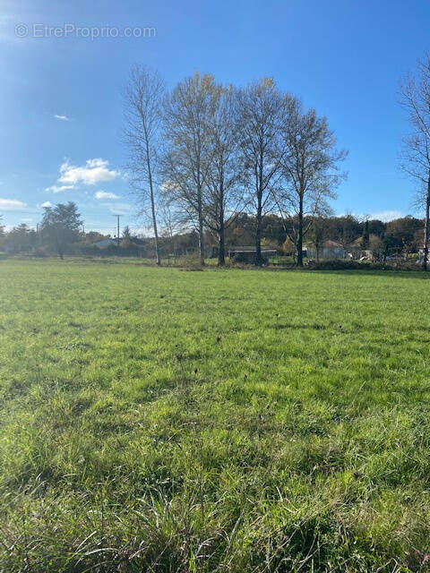 Terrain à SAINT-AIGULIN