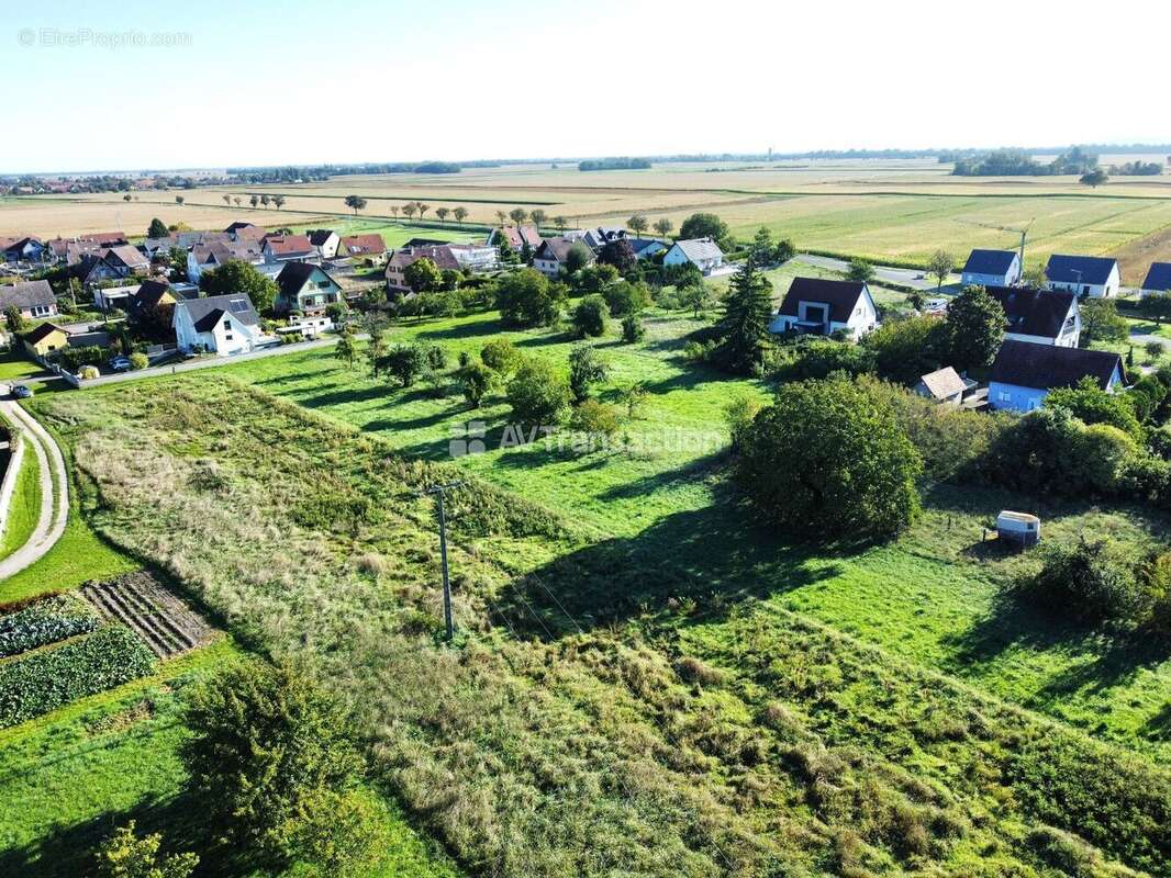 Terrain à GRUSSENHEIM