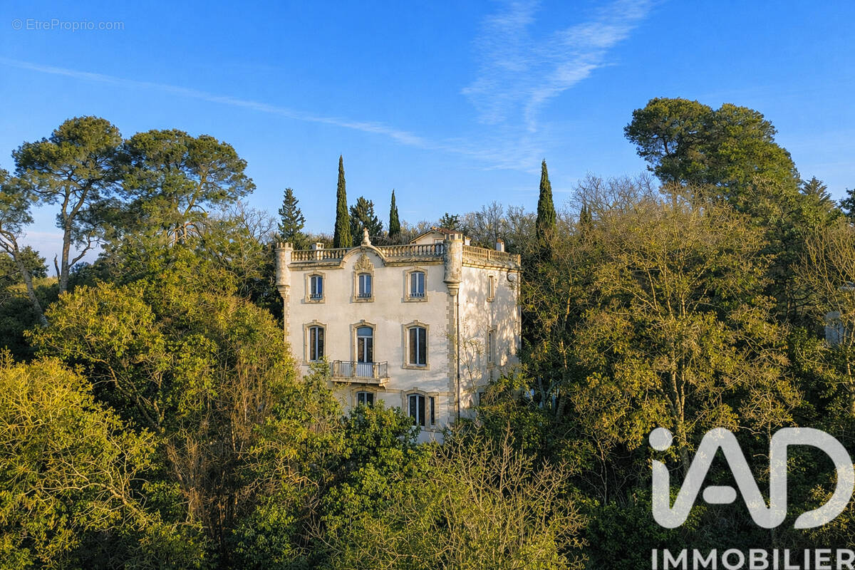Photo 1 - Maison à ALZONNE
