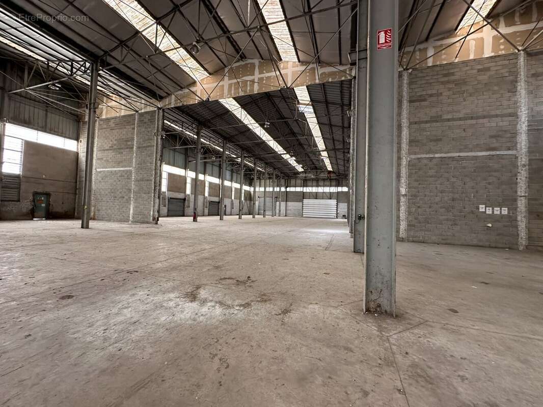 Commerce à TOULOUSE