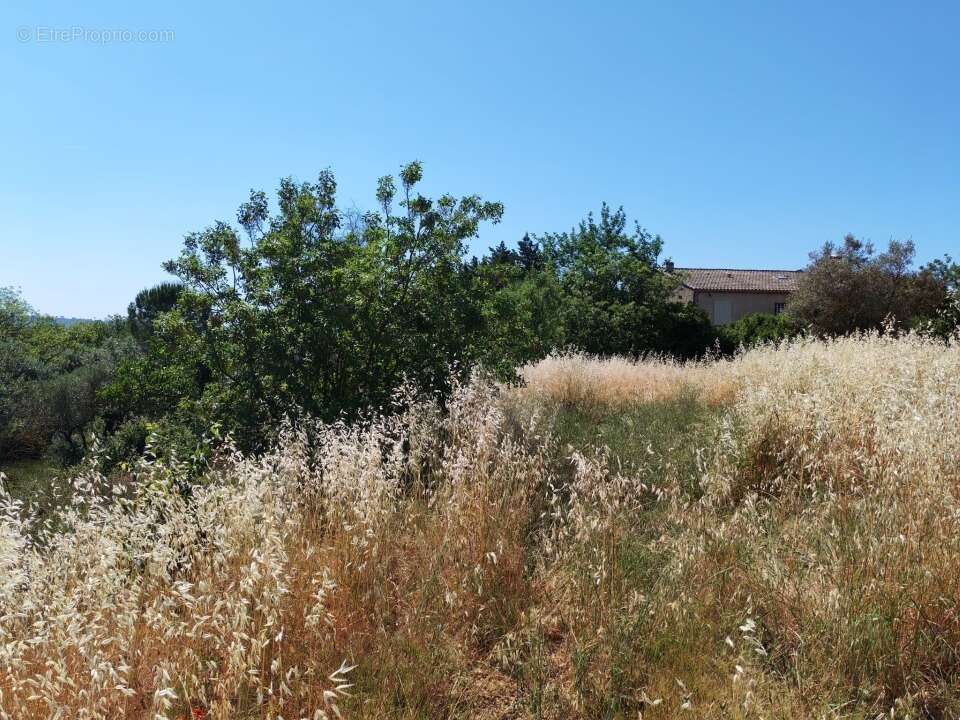 Terrain 628 m² à Lorgues  - photo 9