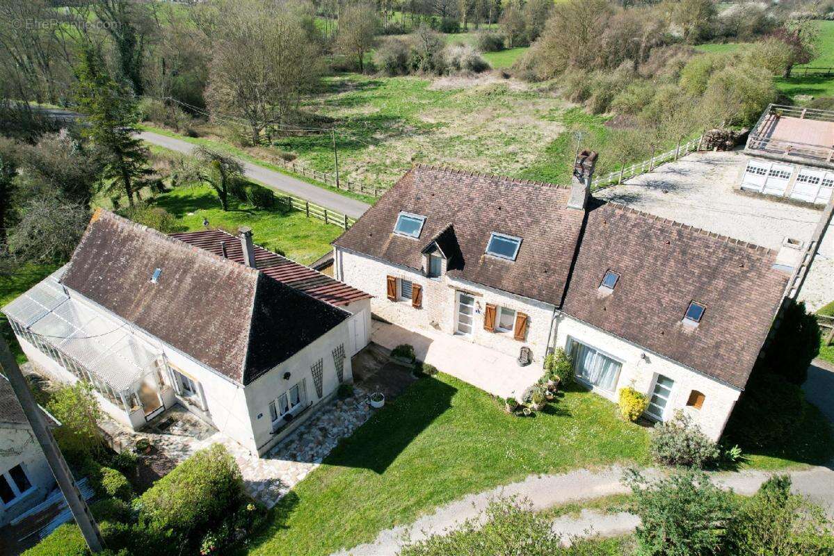 Le pin au haras - photo 2