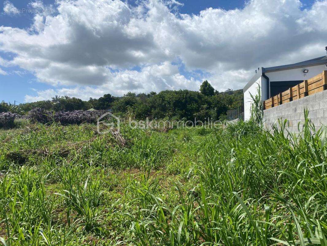 Terrain à PETITE-ILE