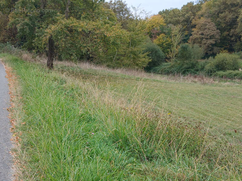 Terrain à SAINT-GENES-DE-LOMBAUD