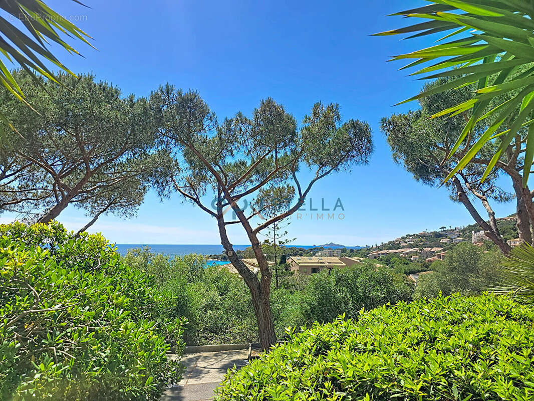 Appartement à AJACCIO