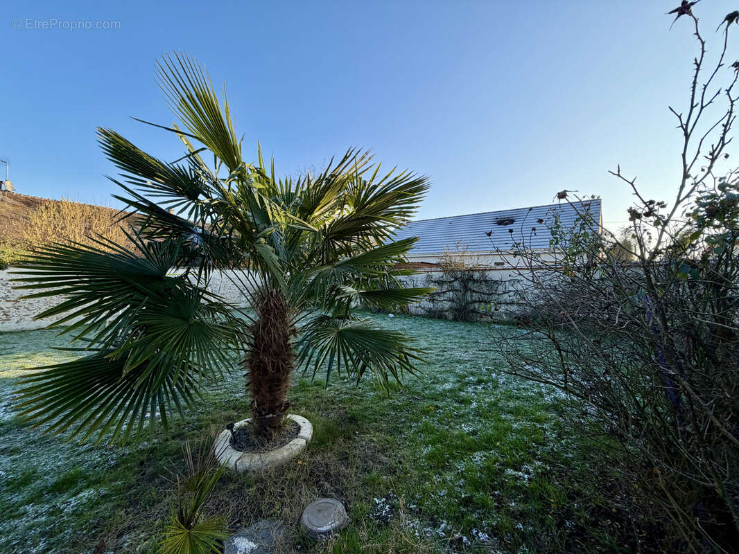 Maison à COULOMMIERS