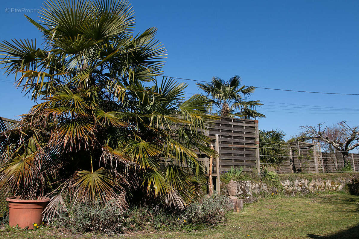Maison à SAINT-BERON