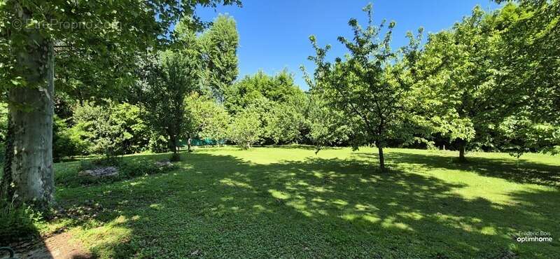 Maison à BELLEVILLE