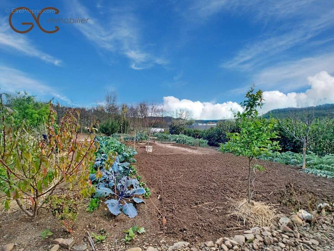 Maison à SAINT-CHINIAN