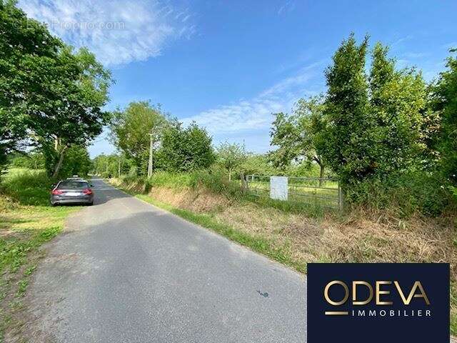 Terrain à CONDE-SUR-VIRE
