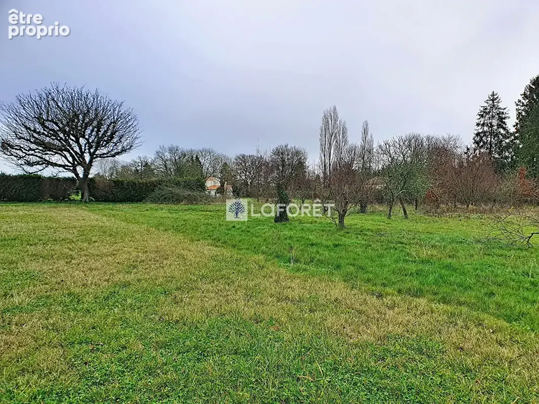 Terrain constructible - viabilisé - Saint Pardoux Soutiers - photo 8