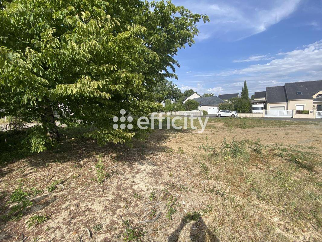 Terrain à SAINTE-LUCE-SUR-LOIRE