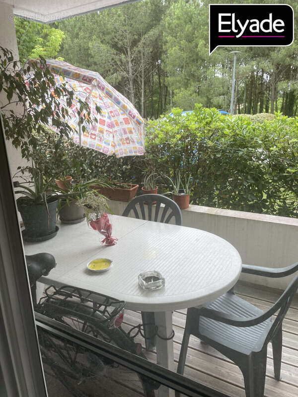 Appartement à BENESSE-MAREMNE