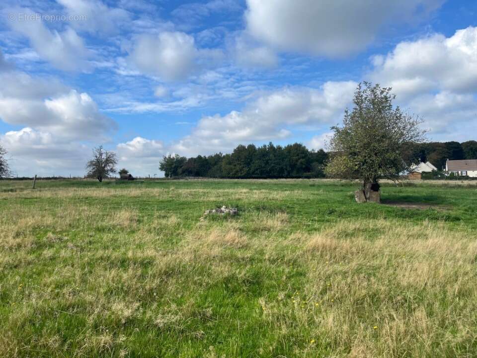 Terrain à SAINT-VALERY-SUR-SOMME