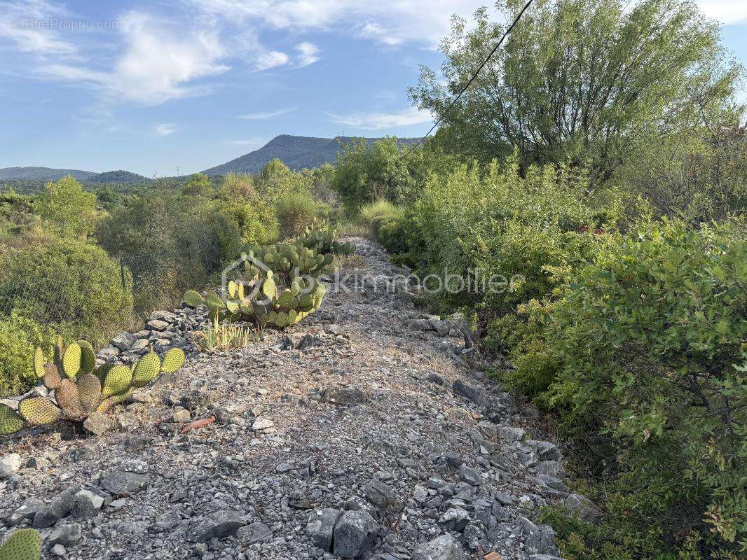 À rocbaron (83136), au calme absolu, maison avec logement indépendant, piscine, garage et 5 400 m² de terrain - photo 21