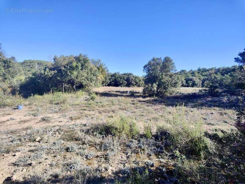 Terrain à CARLENCAS-ET-LEVAS