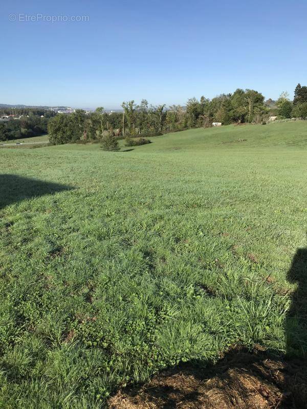 Terrain à MALEMORT-SUR-CORREZE