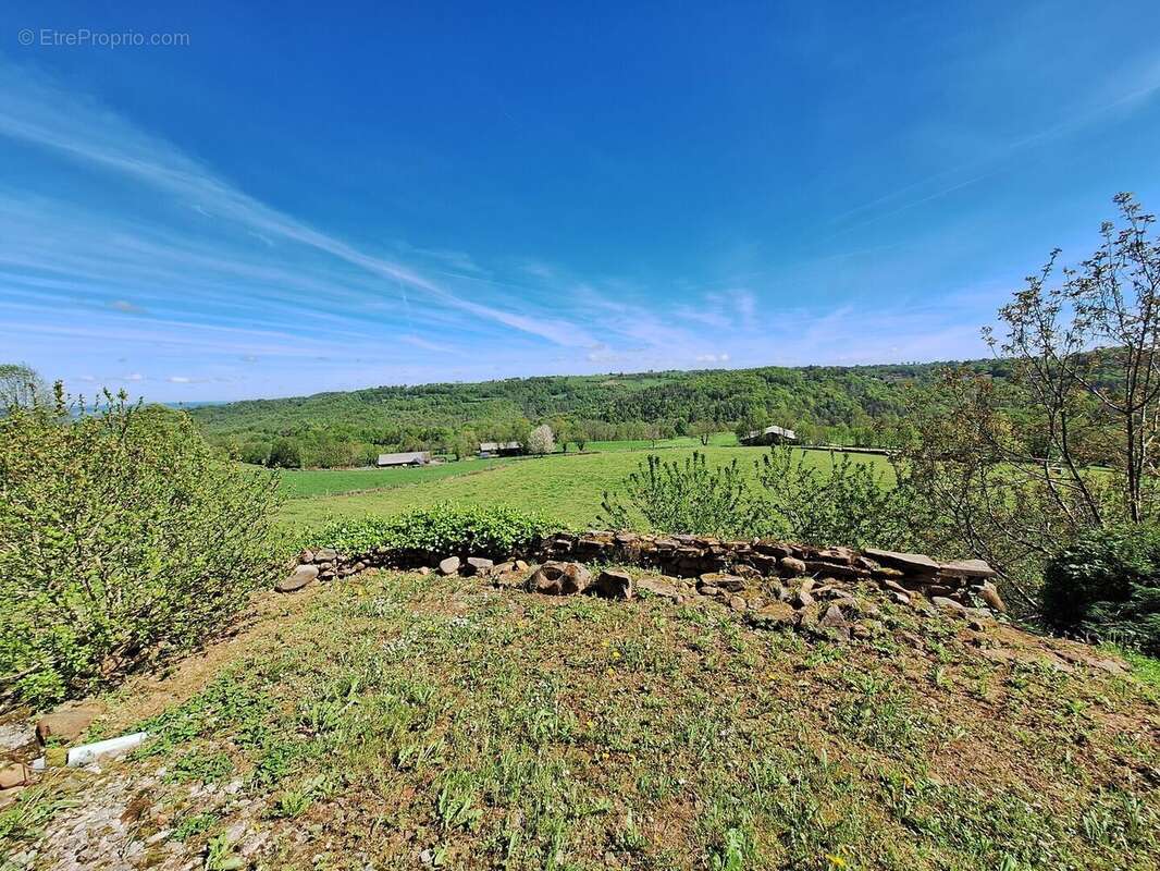 land - Maison à LANNEMEZAN
