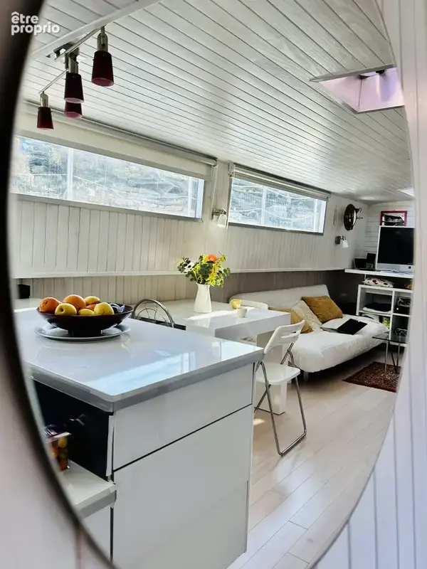 Lyon 2 - Péniche à vendre quais de Saône - photo 6