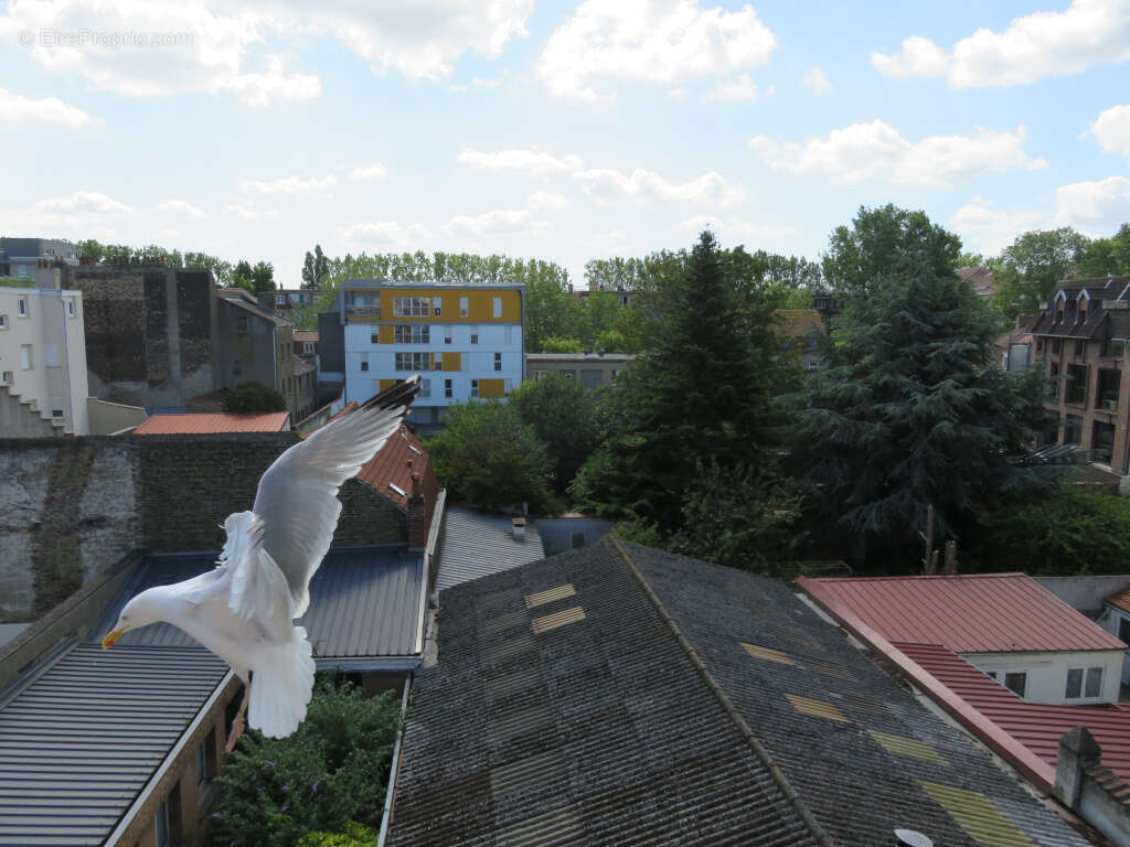 Appartement à DUNKERQUE