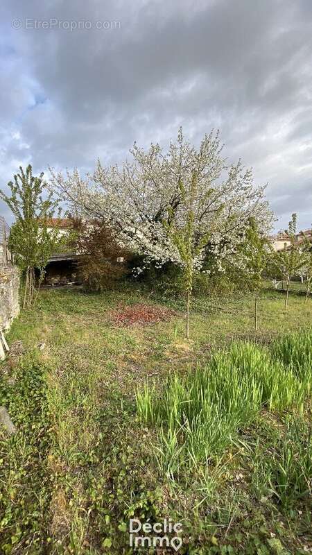 Maison à SAINT-MEME-LES-CARRIERES
